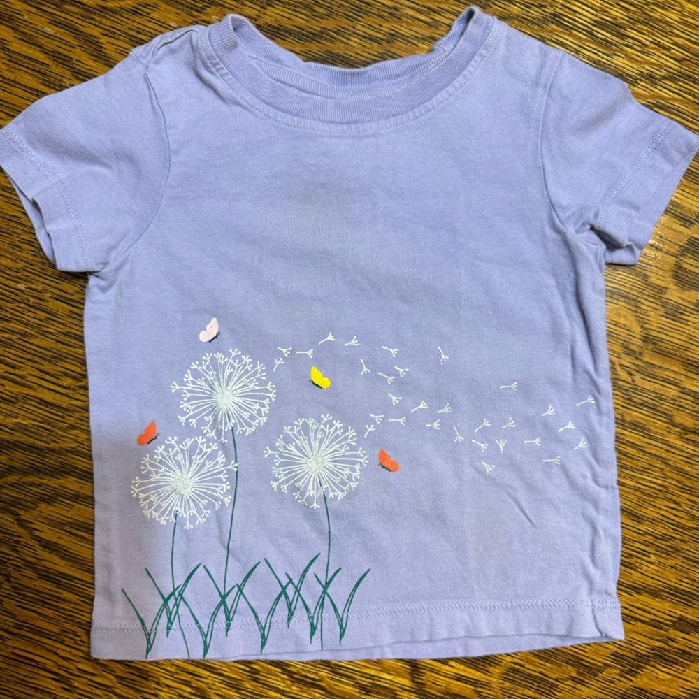 Hanna Andersson Kids Lavender Dandelion Graphic T-Shirt 3T 90 cm